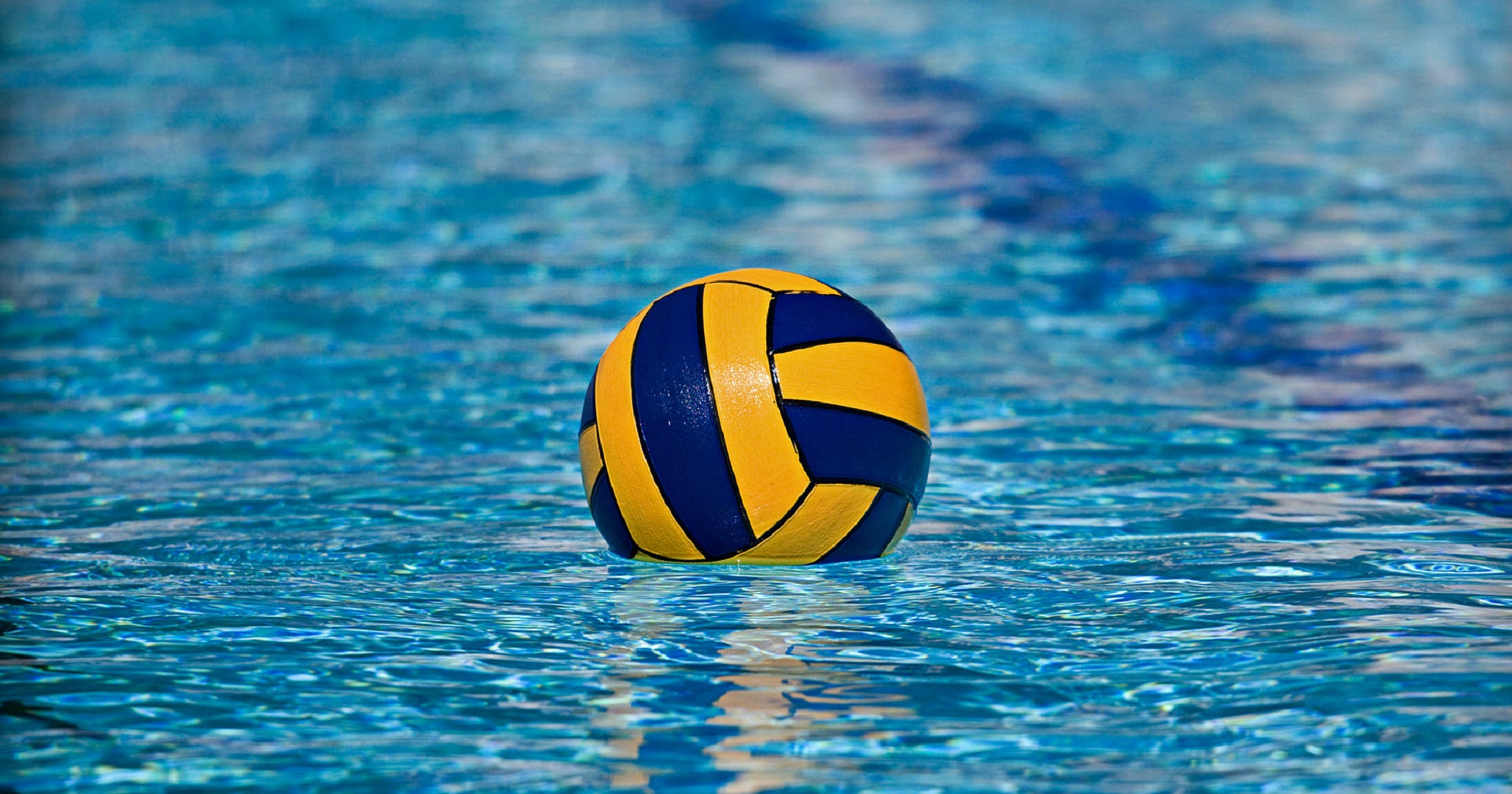 https://wzpc.nl/wp-content/uploads/2019/03/Water-Polo-Pictures.jpg